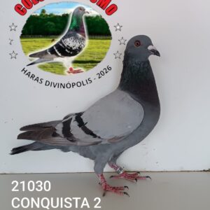 04 - 21030 CONQUISTA 2