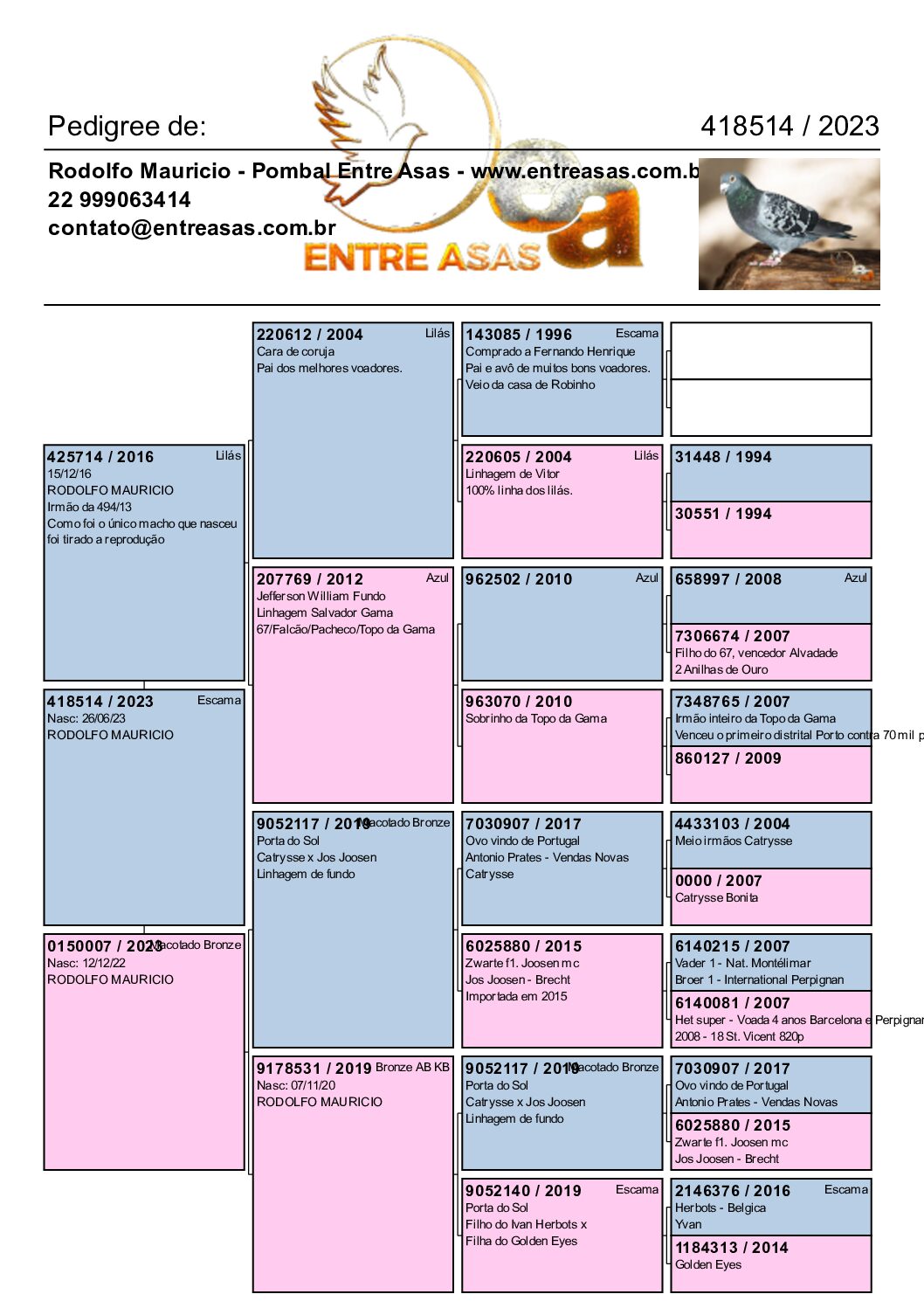 03 - 418514/23 - Escama M - Imagem 2