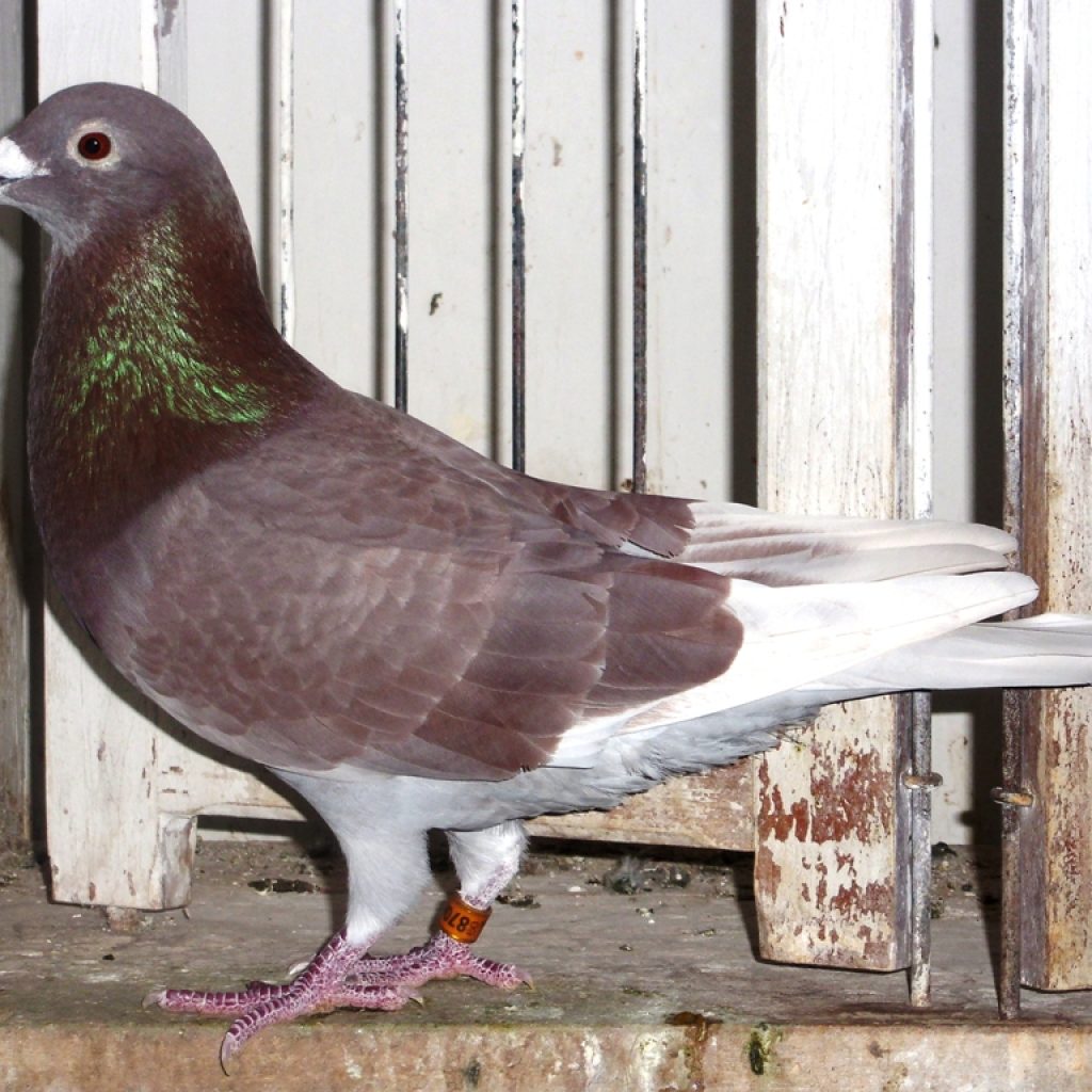 a7dee87b-c3ec-4ef1-810a-724d87d7b44d